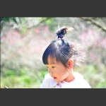 梅下暇思