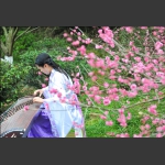 梅下听琴