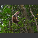 恪尽职守望“狼烟”