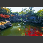 严家花园7