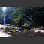 小溪流水