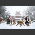 温馨六奇阁