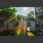严家花园8