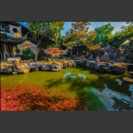 严家花园6