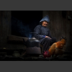 奶奶家的大公鸡