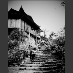 辛勤労作的畄守老人