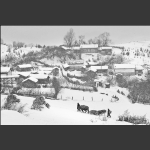 雪村又一年