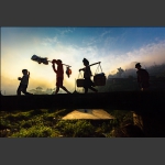 一日之际在于晨