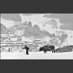 关东雪村。水墨松岭！