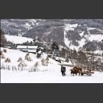 关东雪村。水墨松岭