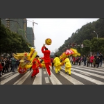 金龙抢宝