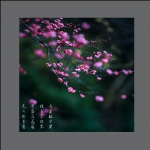早发迎春