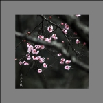 香蕊压枝