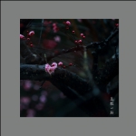 花枝一脉