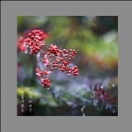 润物无声