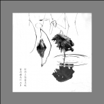 残荷遗韵