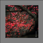 香蕊压枝