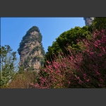 春到黄石寨