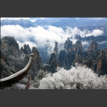 玉宇琼枝天子山