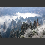 玉宇琼枝天子山