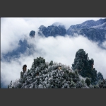 玉宇琼枝天子山