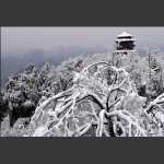 瑞雪兆丰年