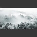 雪韵