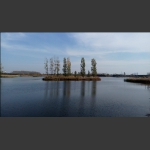蒲河湿地