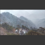 千山情