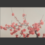 雾里看花