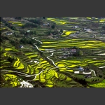 阡陌田园