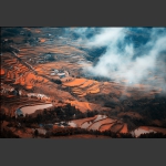 画意家园