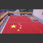 收获