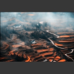 画意家园