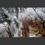 山路