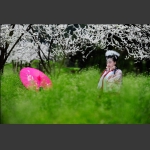 醉春2
