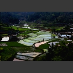 乡村小景2