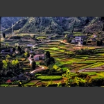 乡村小景3