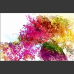枫叶红于二月花