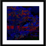 立体梦幻