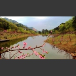 桃花溪谷