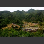 王家河风光