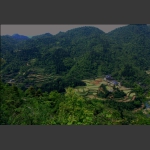 王家河风光