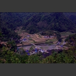王家河风光