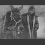 雪中马集