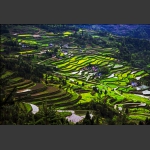 色版小景2