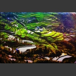 色版小景1