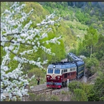 山区小站