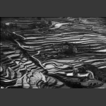 大地抽象画