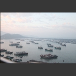 汕尾魚港